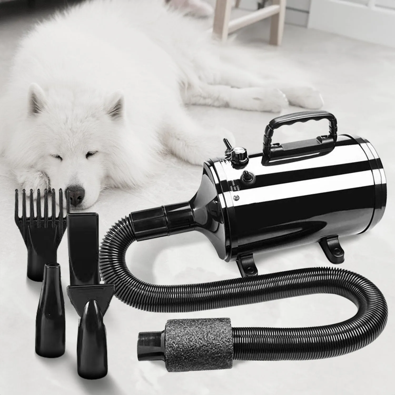 Adjustable Heat & Speed Pet Hair Dryer with Nozzle Options - Floofi