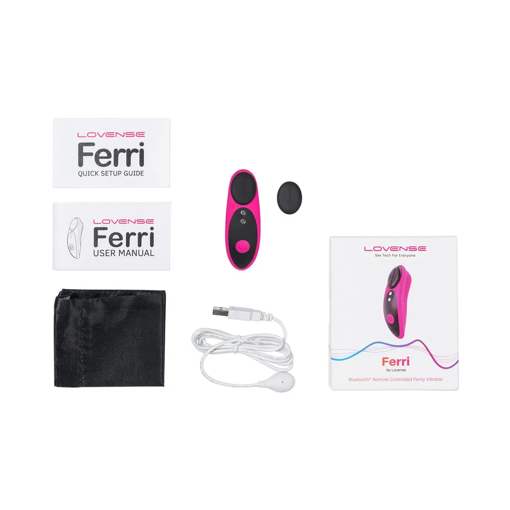 An App-Controlled Panty Vibrator Called The Ferri