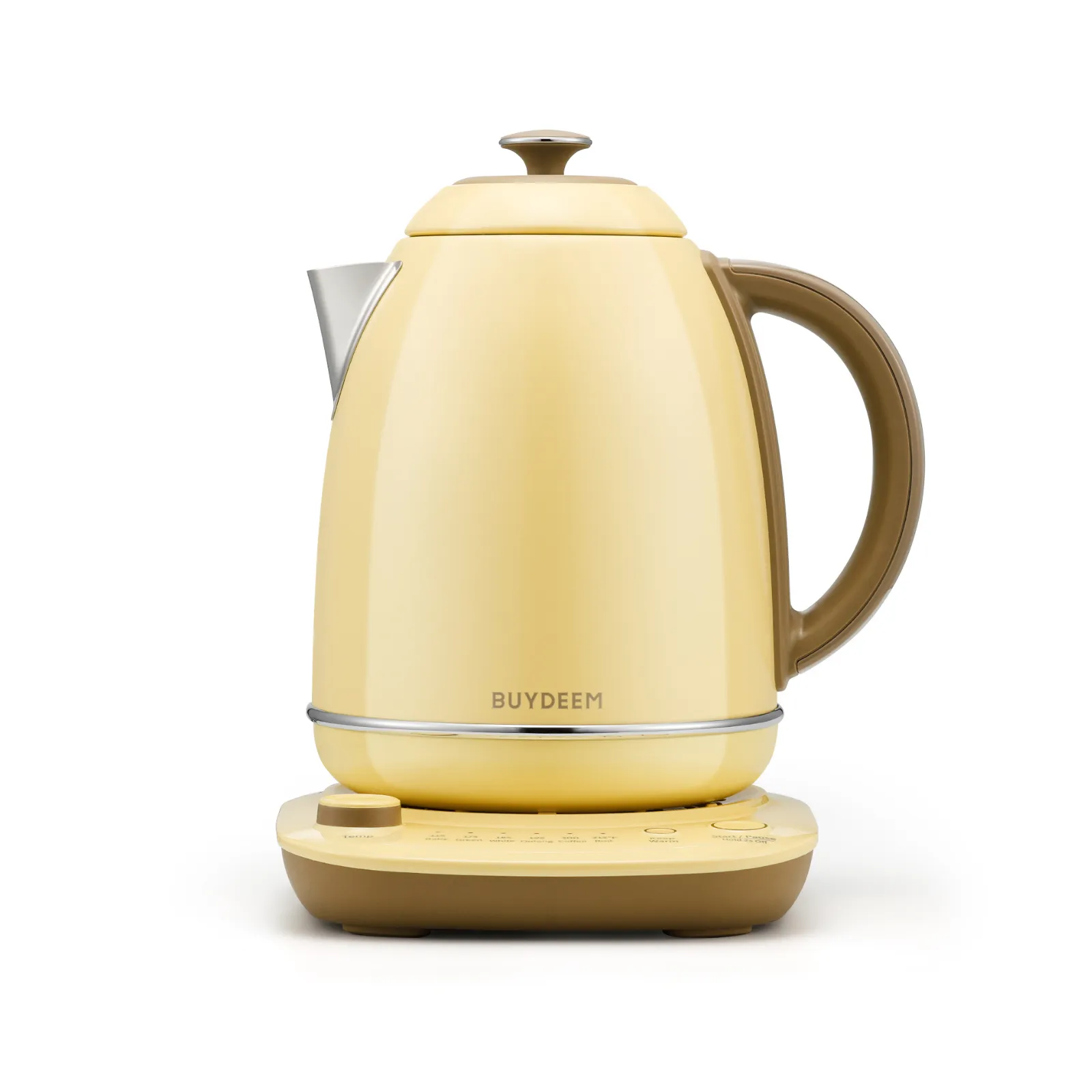 Electric Kettle with Temperature Control