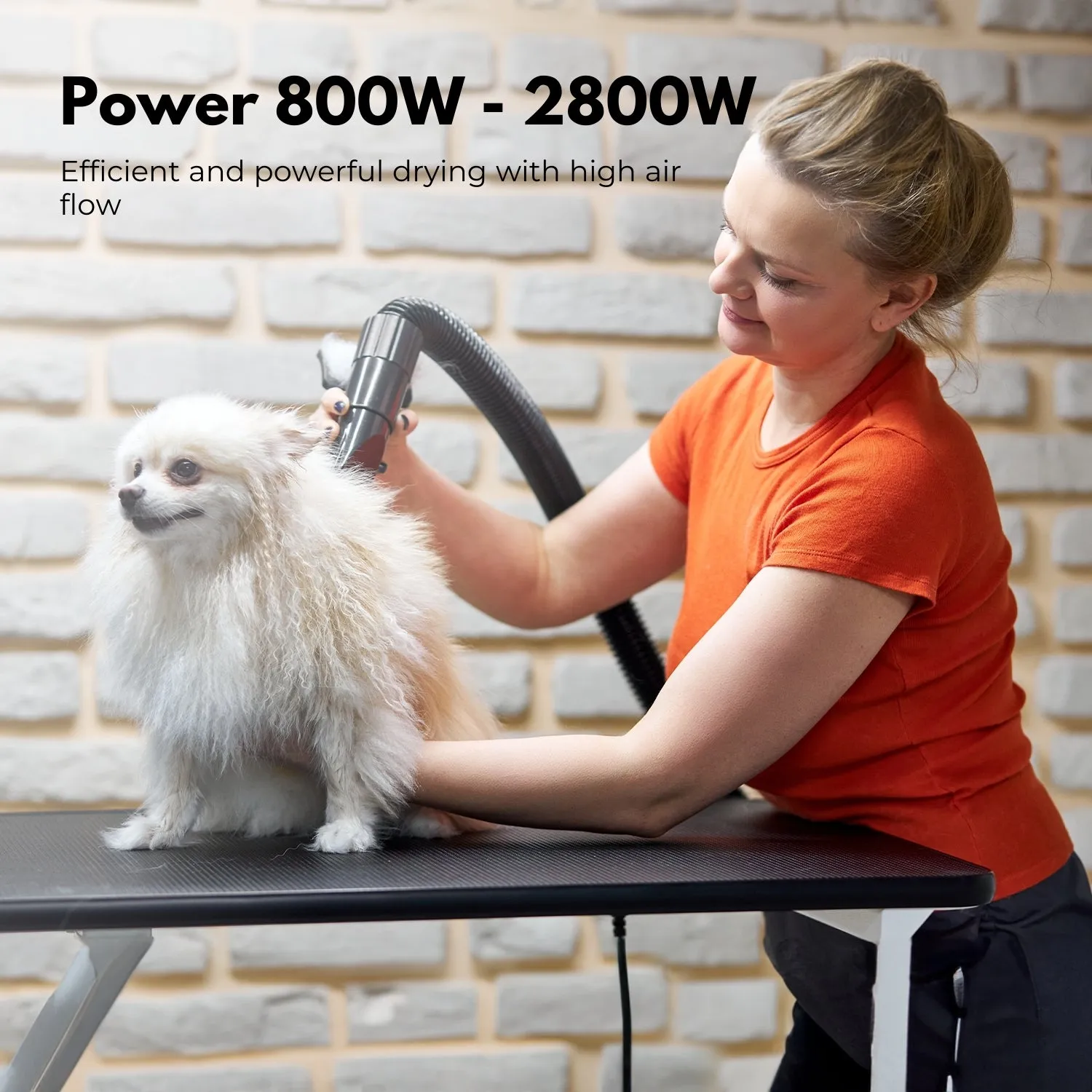 Powerful Pet Hair Dryer with Adjustable Settings - Floofi White